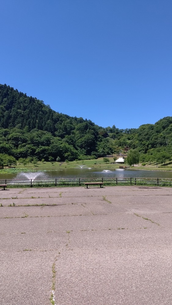 真っ青な空☀️