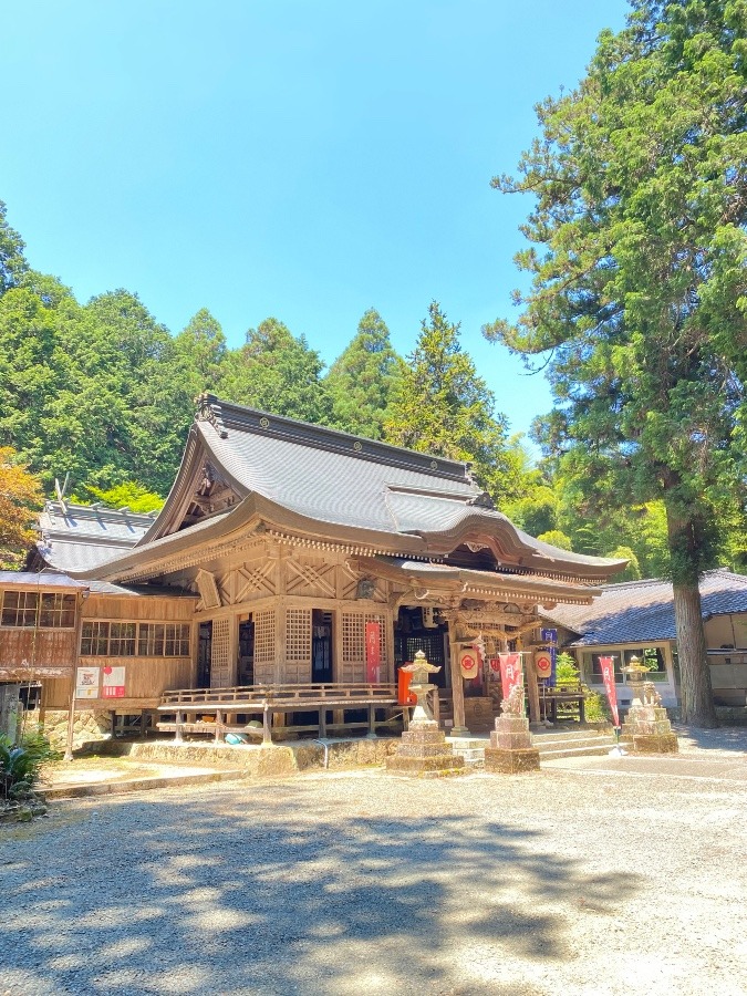 7/2 月まいり‼️その3