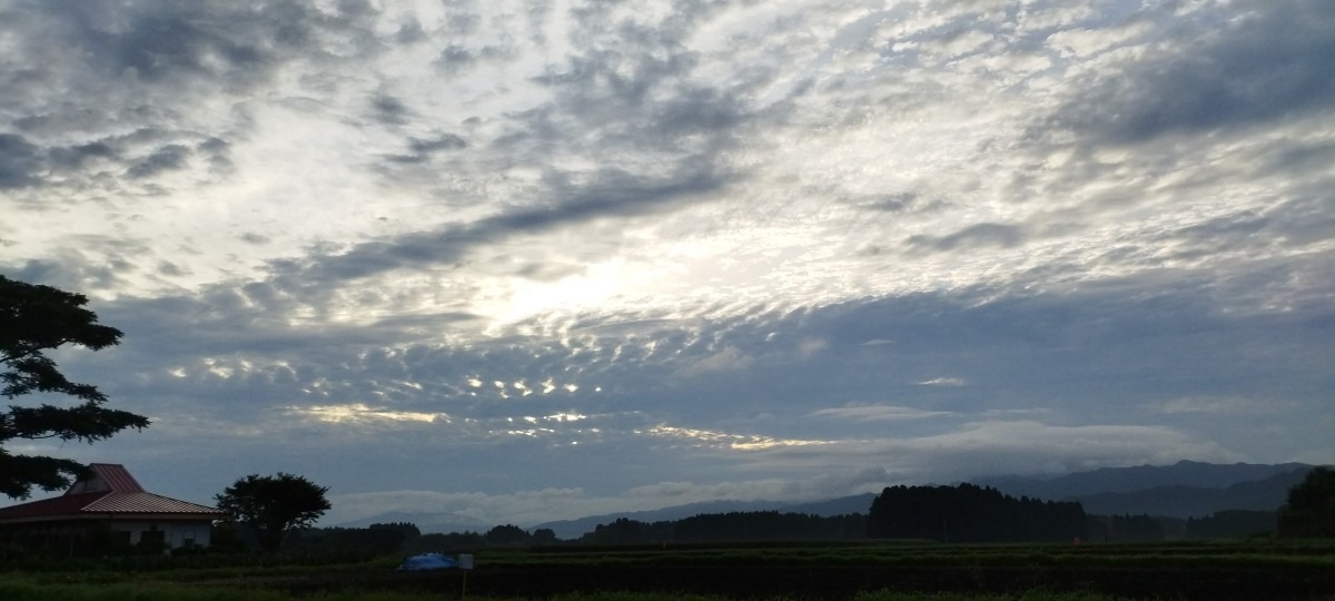 都城市（2022/7/8）今朝も曇ってます😅❗