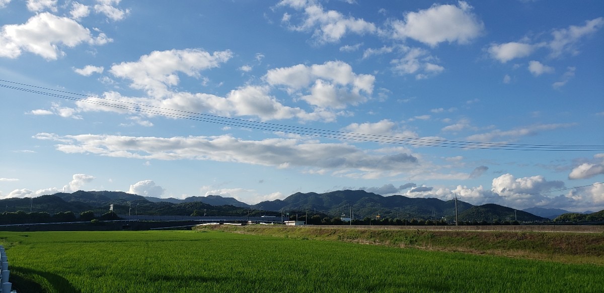 踊るような雲☁️
