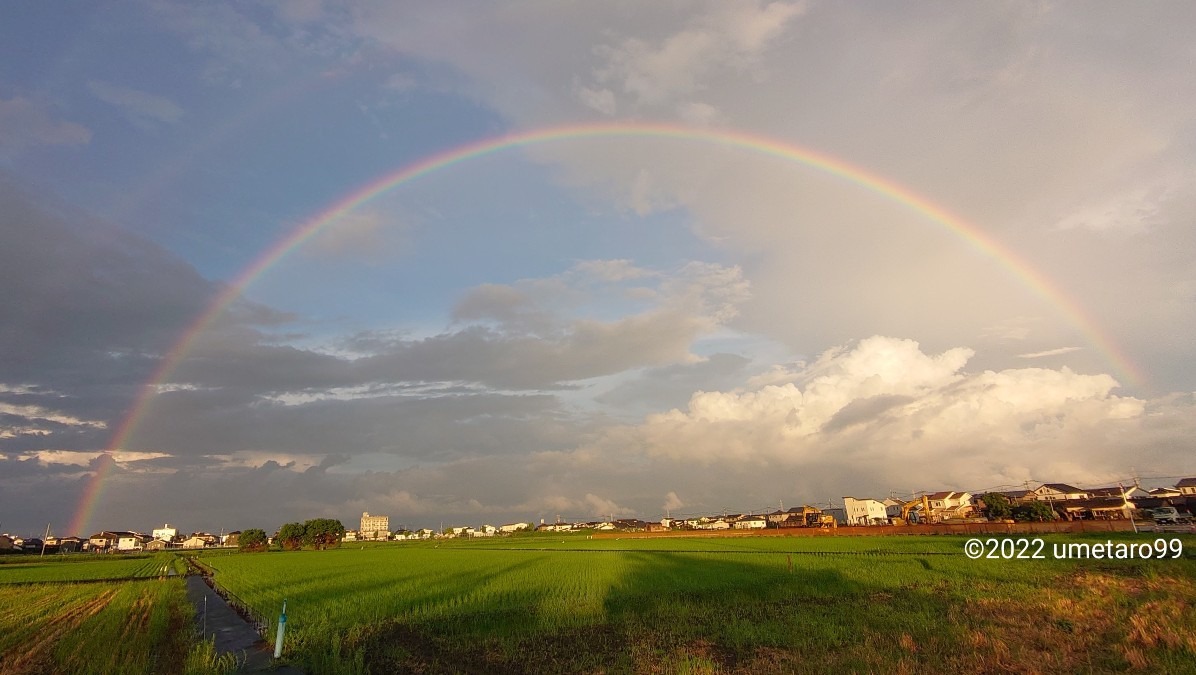 七夕🎋に 虹🌈