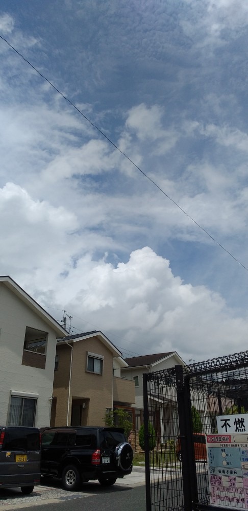 今空の風景　(東）