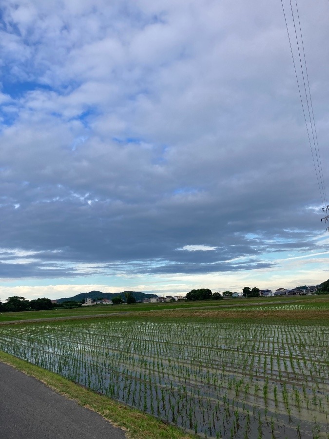 18時の東の空