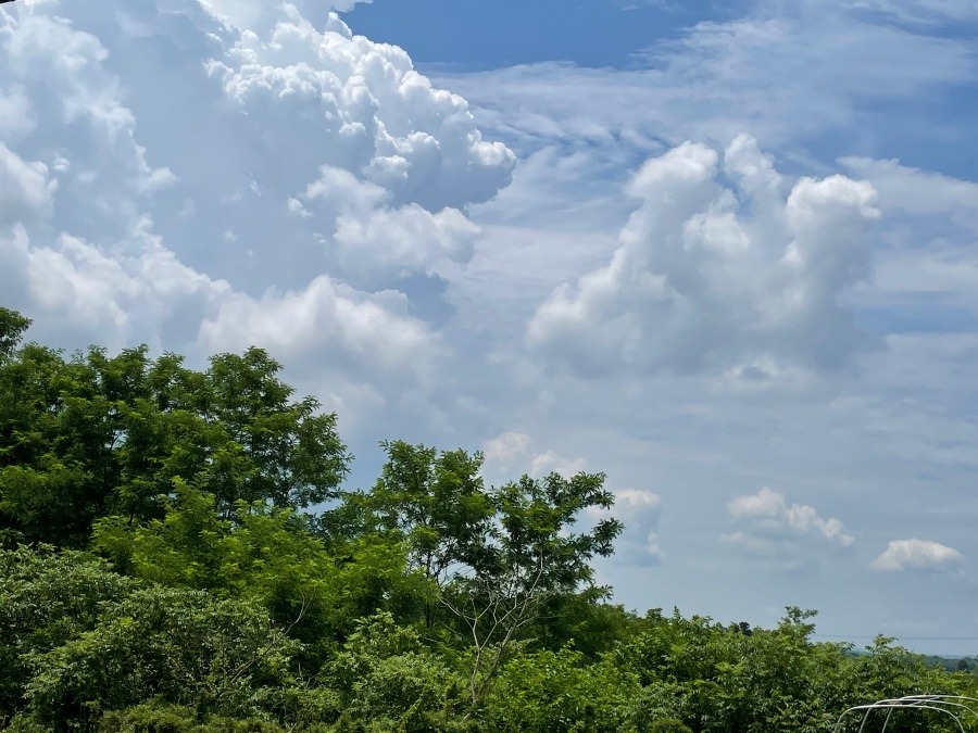 今日ももくもく☁️