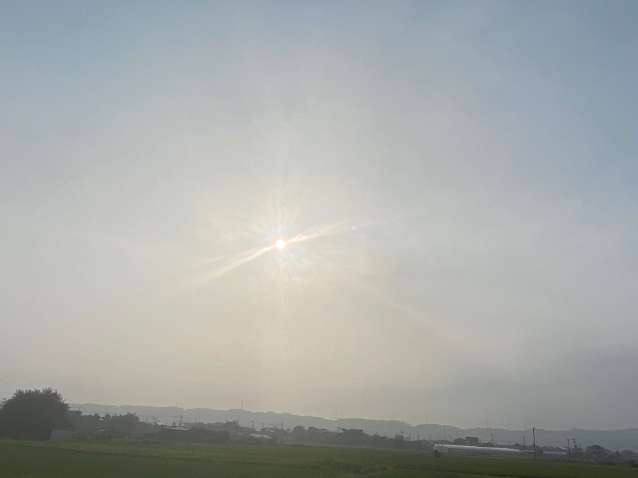 今朝の空　7／27