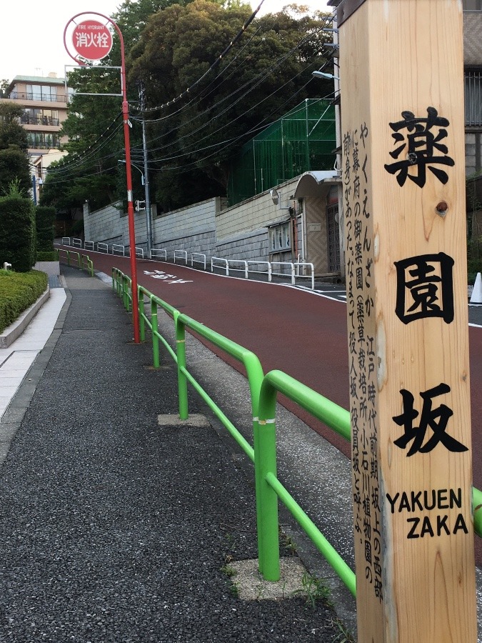 坂道のある風景　薬園坂