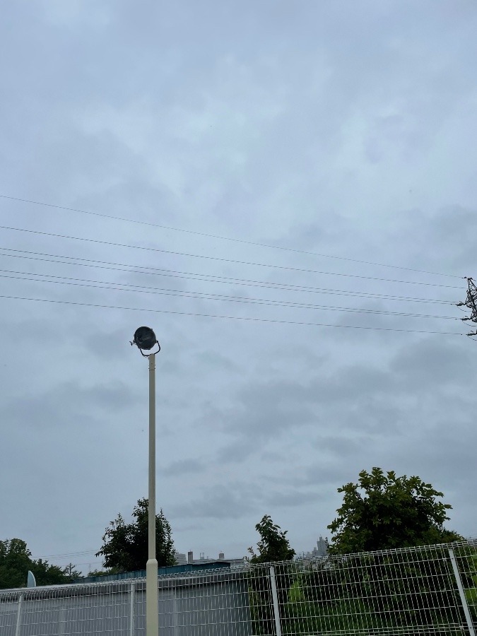 今日は雨です！