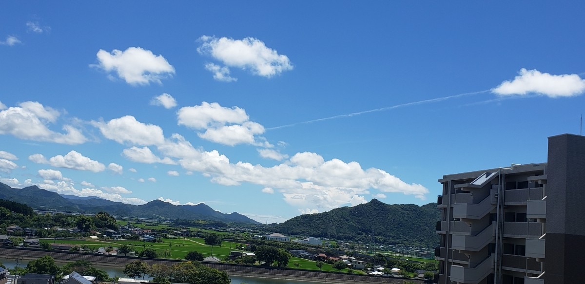 真っ青な空に飛行機雲⤴️