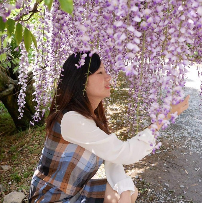 美女とふじの花