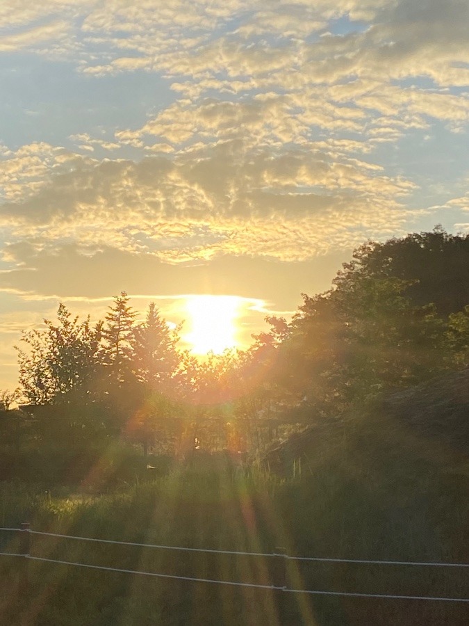 夕陽🌇‼️