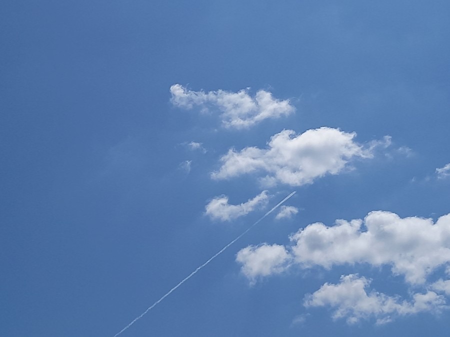 良い天気に飛行機雲