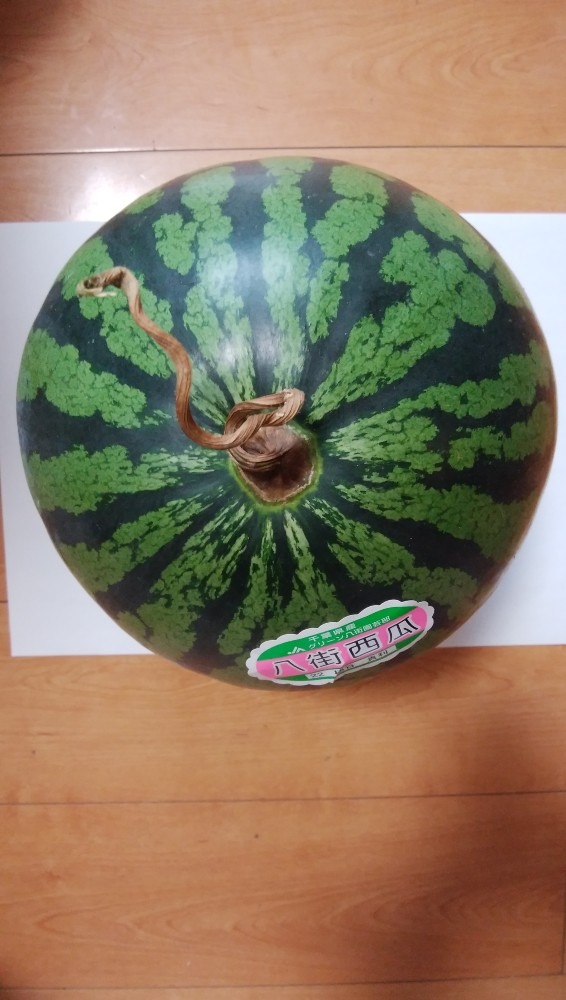 スイカ🍉です！