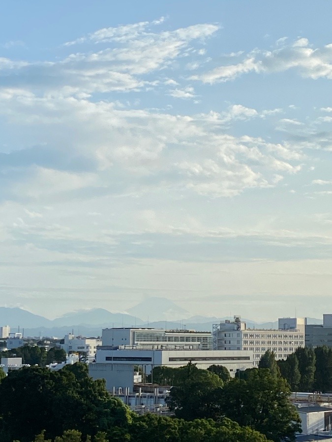 富士山の変化