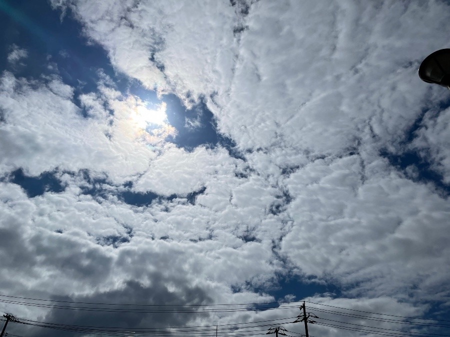 雲さん、青空さんに勝っちゃった‼️