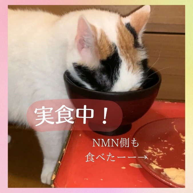 続・香り　試食結果