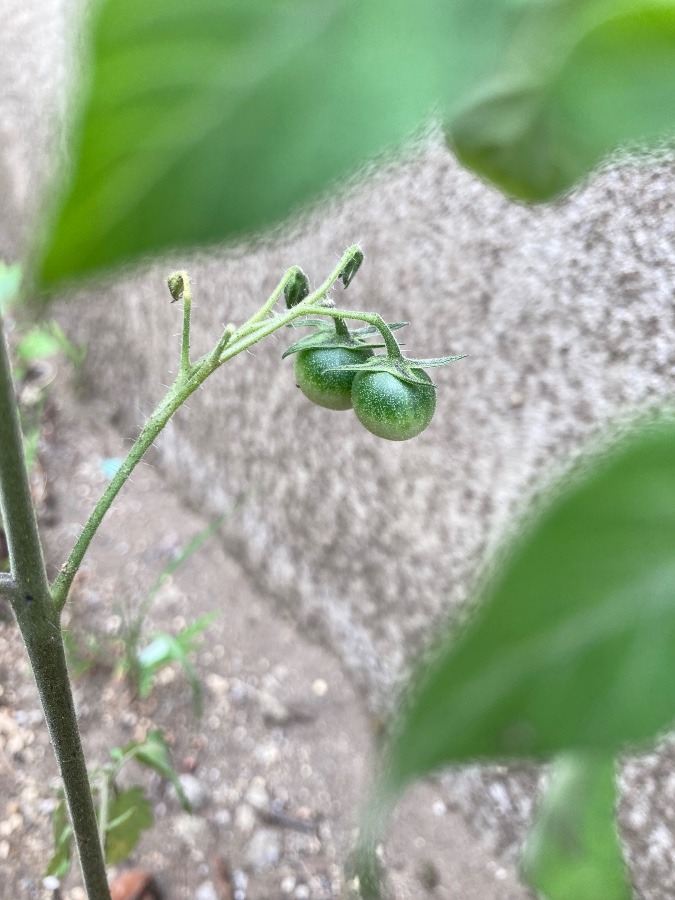 ここにもあった❣️