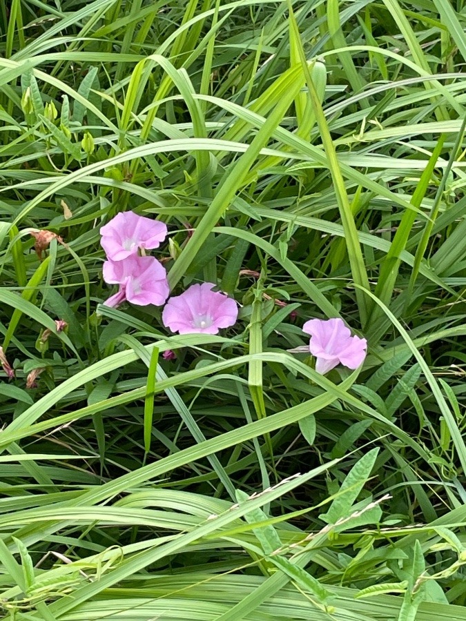 今だから✨