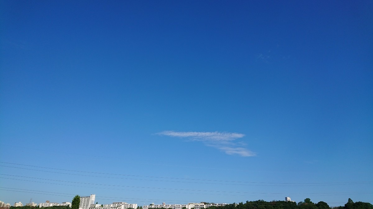 2022/7/31 朝空