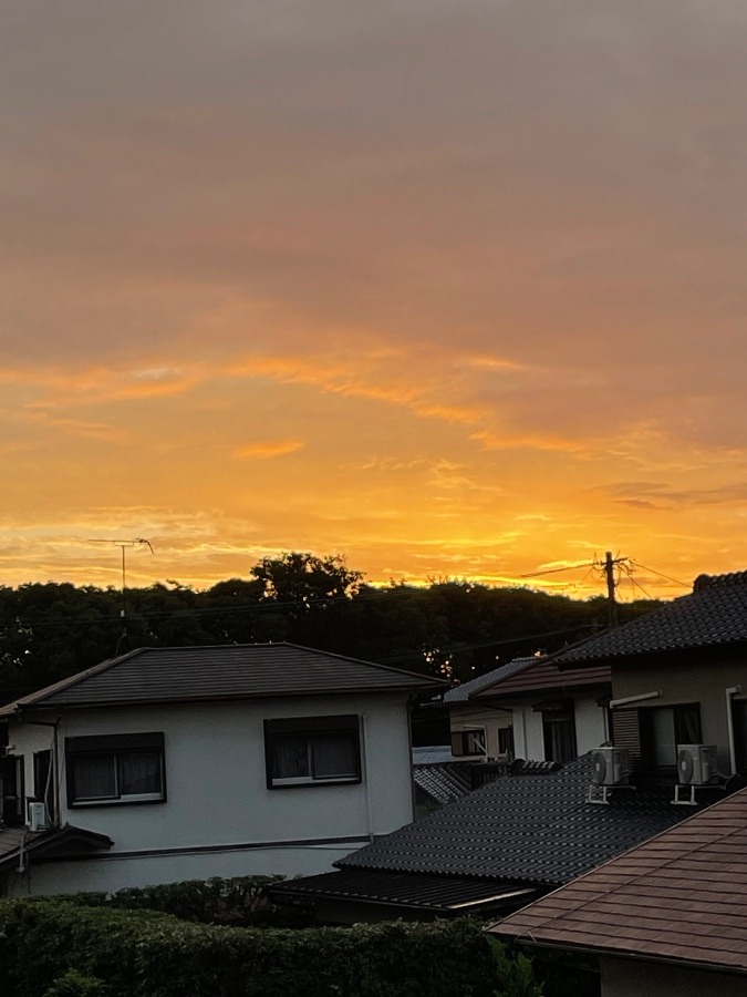 今日の夕焼け💫