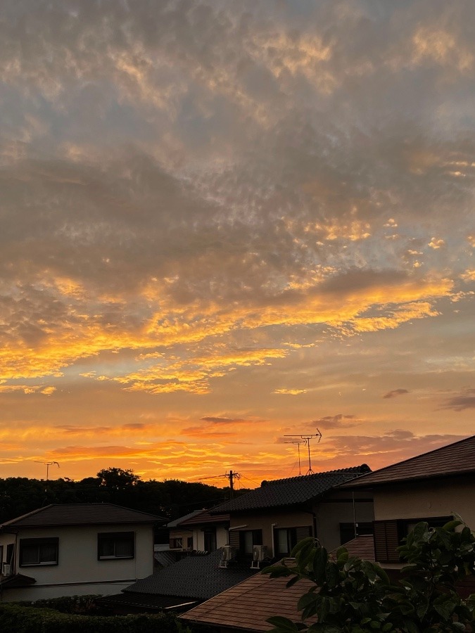 夕焼け💫