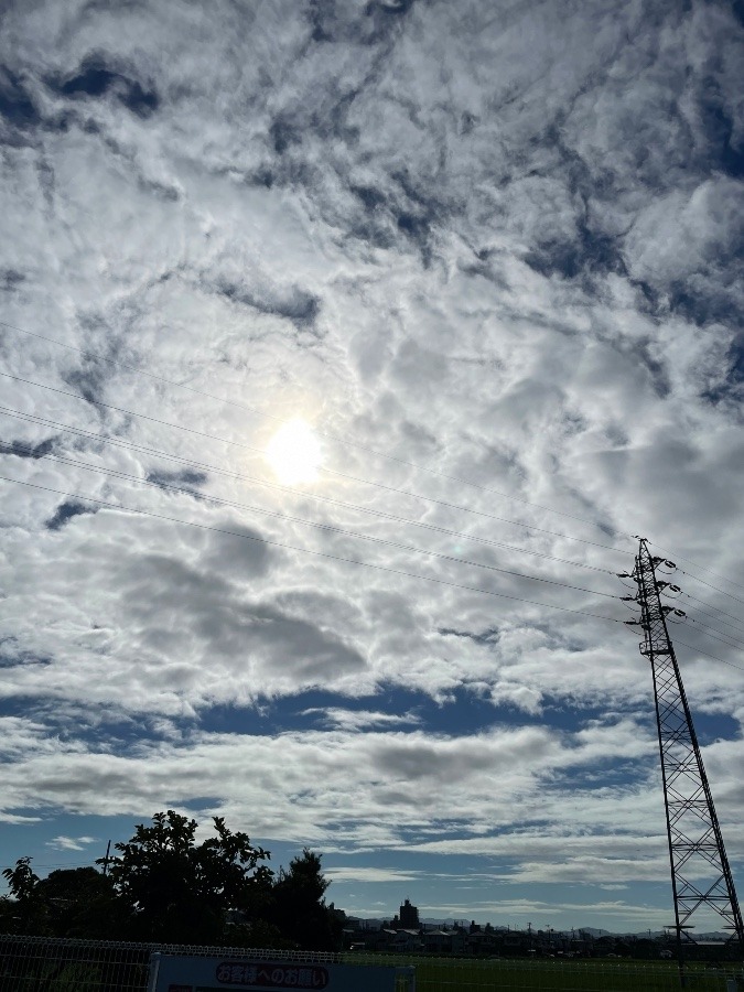 今日の岡崎