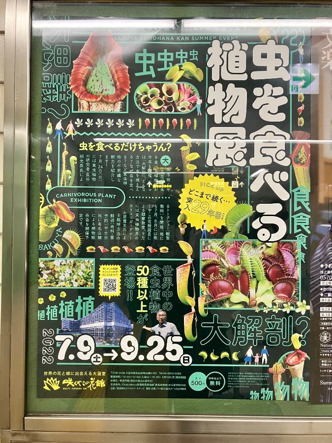 心斎橋に到着٩( ᐛ )و