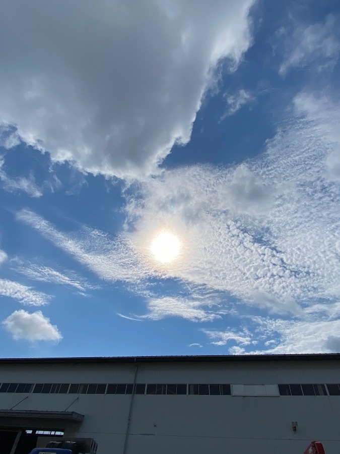 朝から強い日差し☀️☀️☀️‼️