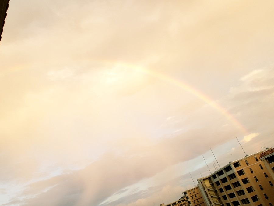 虹です！ダブルレインボー🌈