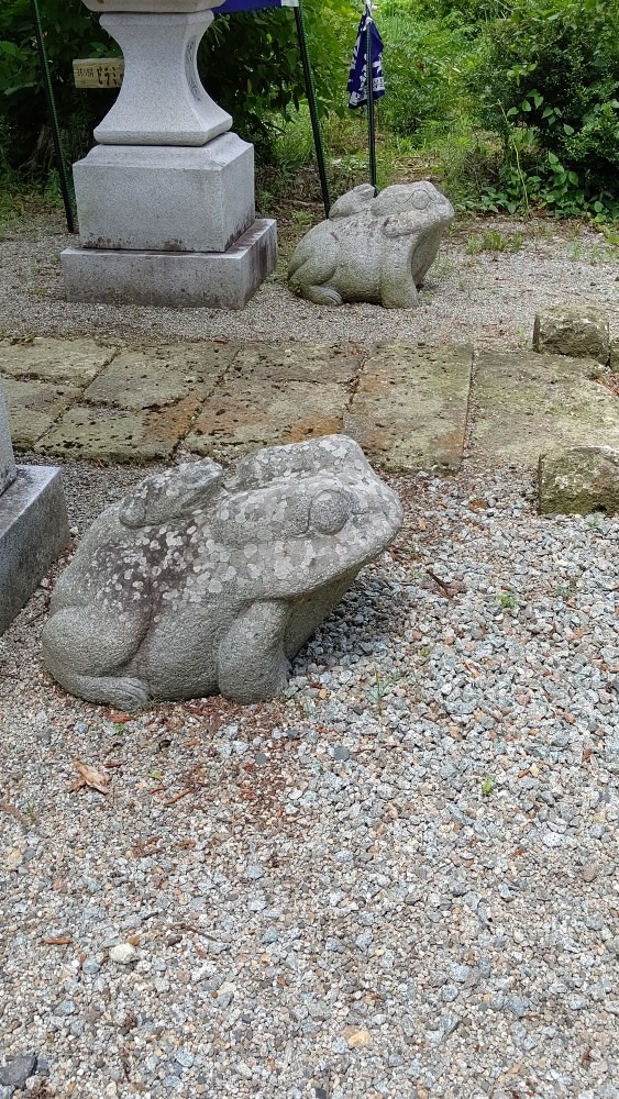 カエルが鎮座 お出迎え🐸