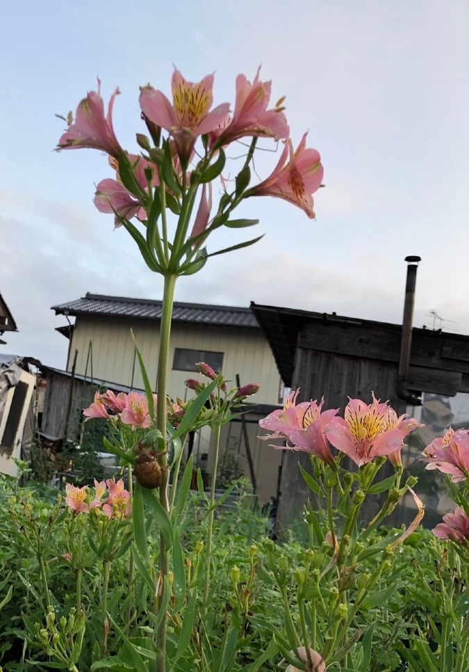 気配り🌷