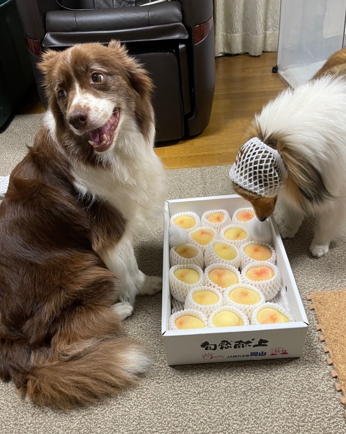 今から食べる⁉️