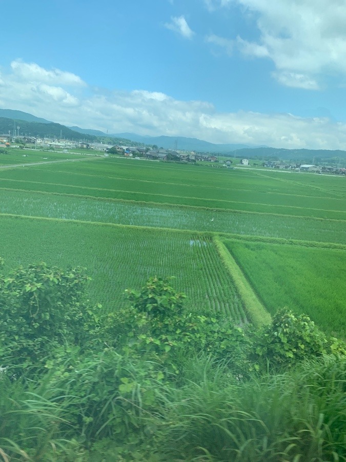 ずっと、田んぼの中、列車は行くよ♪