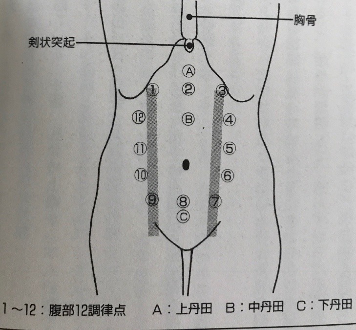 ✨お腹の整体✨