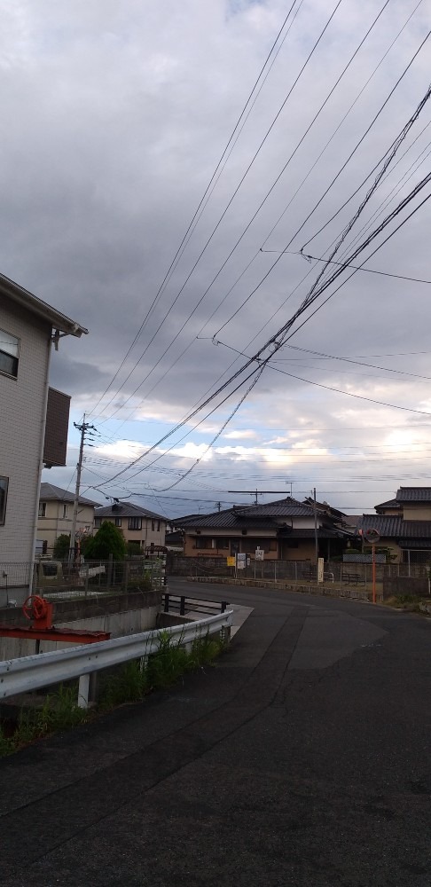 朝の散歩　南の空がヒºンクに