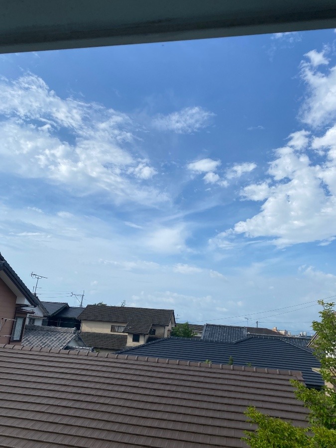 今朝の空