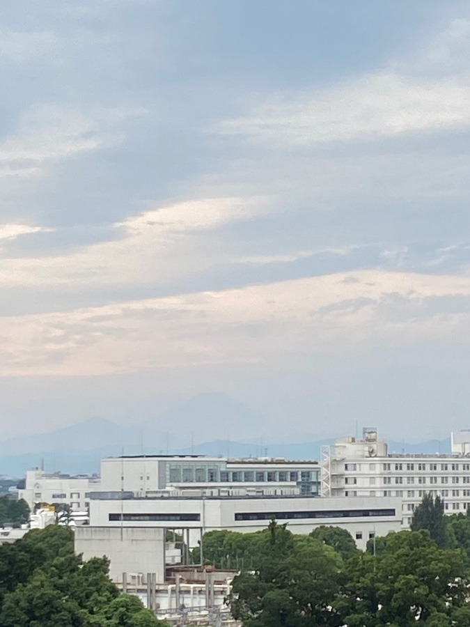 夕暮れの富士山