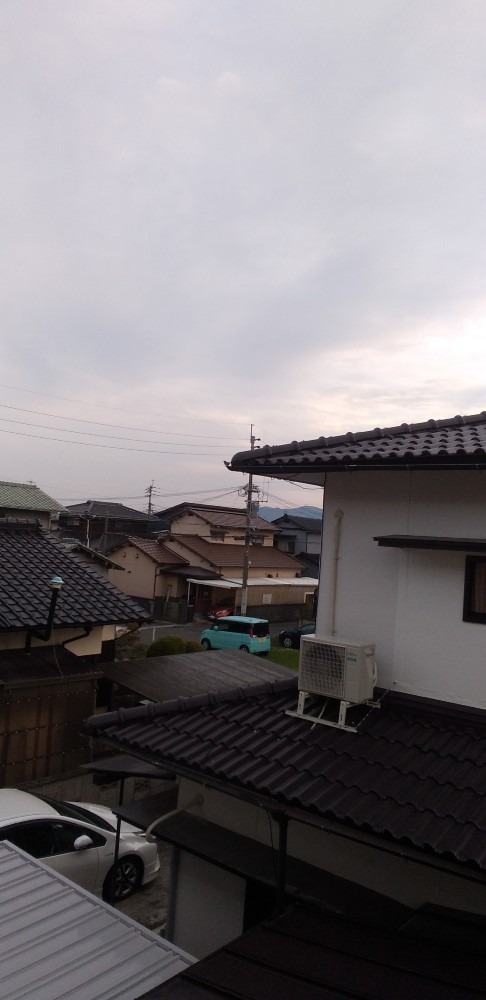 雀が　樋に　チヨコンと🐦
