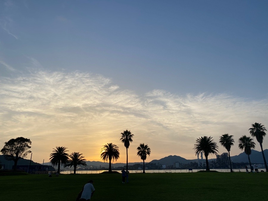 日曜日の思い出🌴④