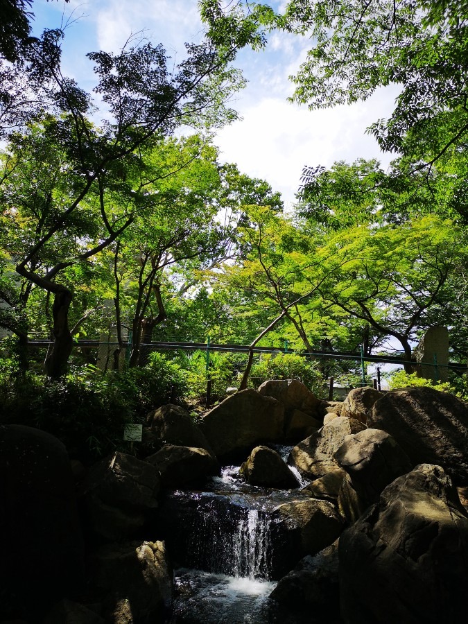 杉並区立　蚕糸の森公園✨