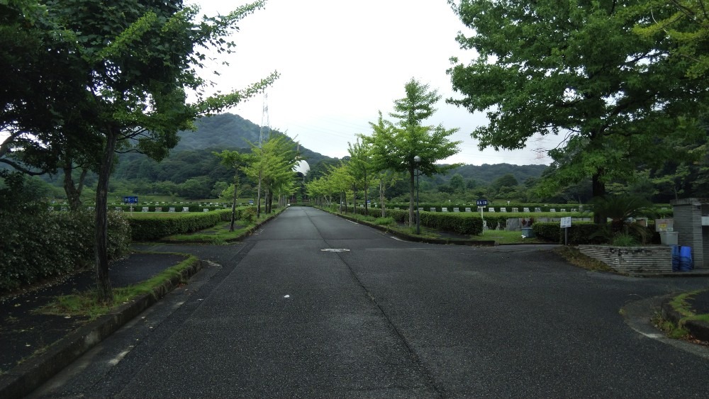 今朝のとある風景