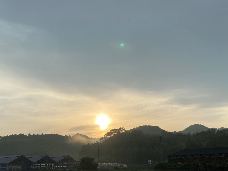 今朝の空　7／17