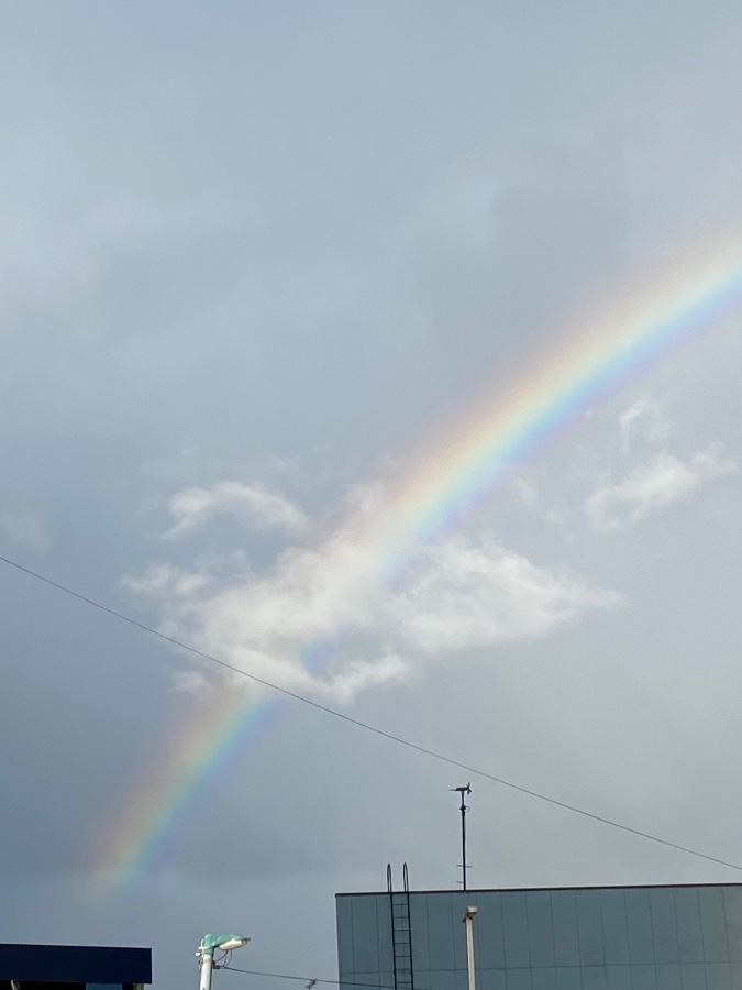 雨上がりの虹🌈