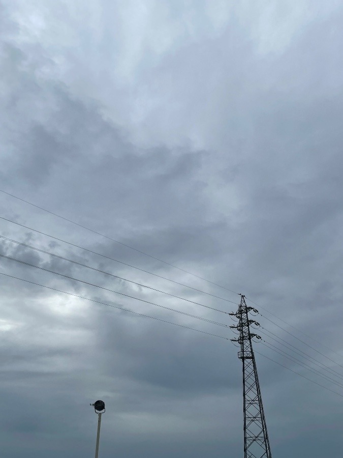 今日は曇天