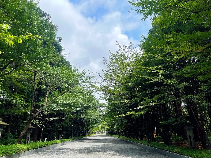 北海道神宮参拝⛩