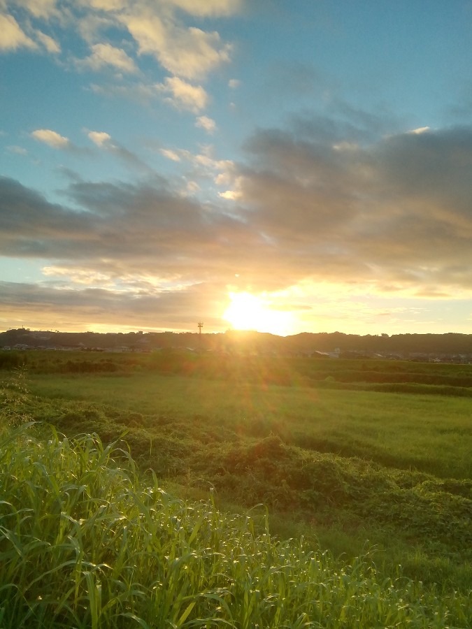 今朝の空