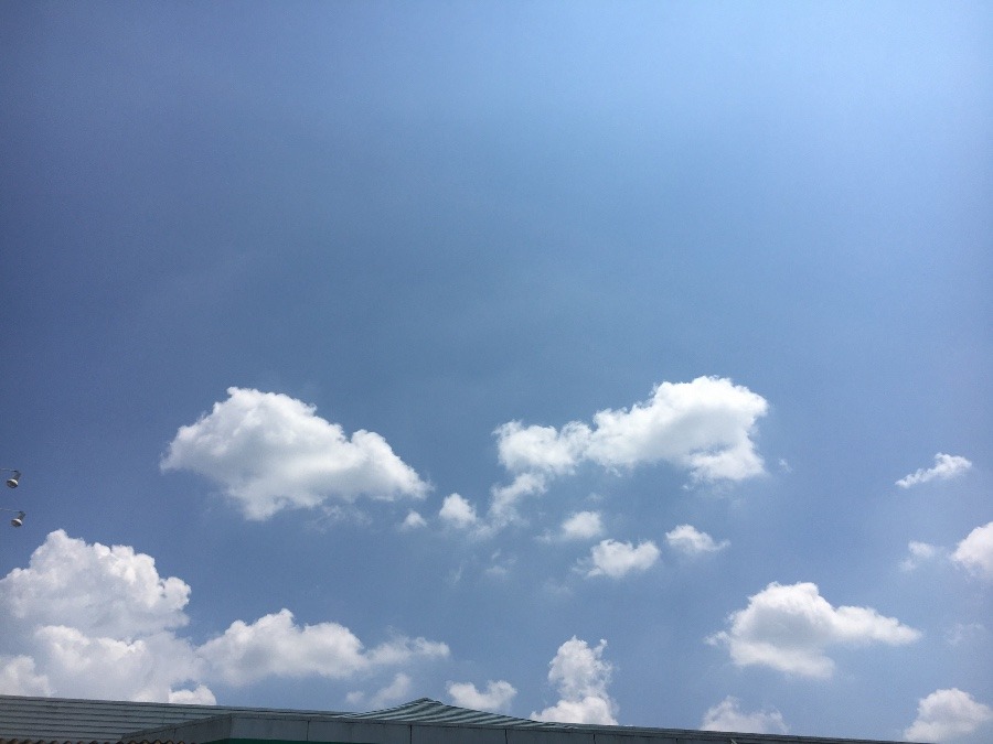 ⭕️空部→   いま空（≧∇≦）‼️95.