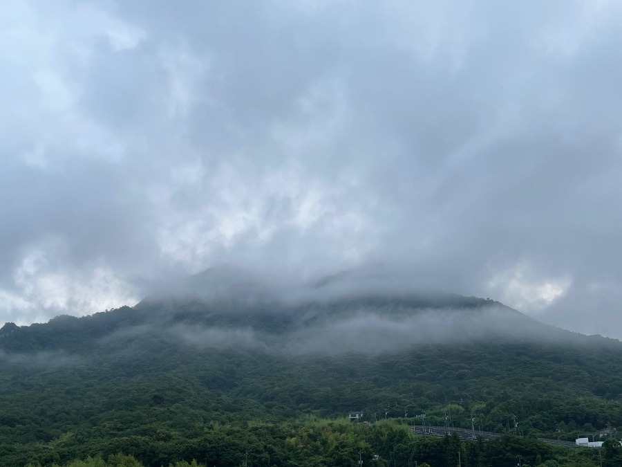 7月16日の朝