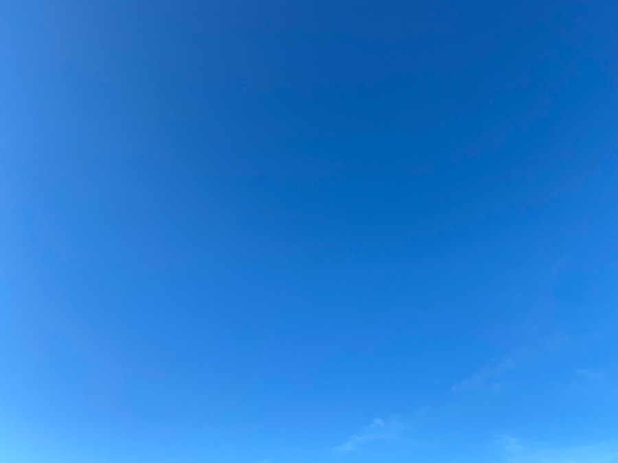 7/30 快晴の朝