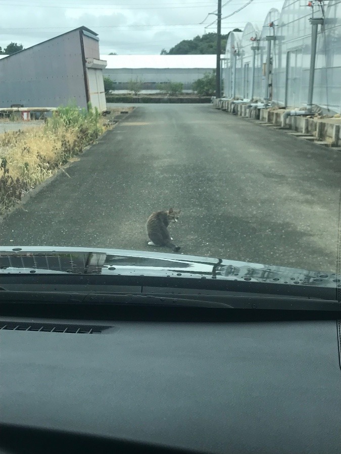 立ちはだかる……