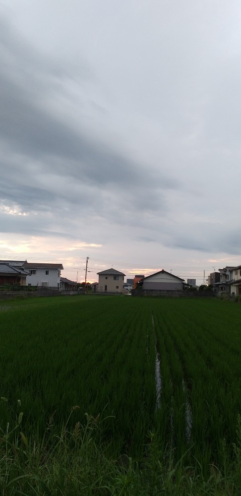 7/18　今朝の空